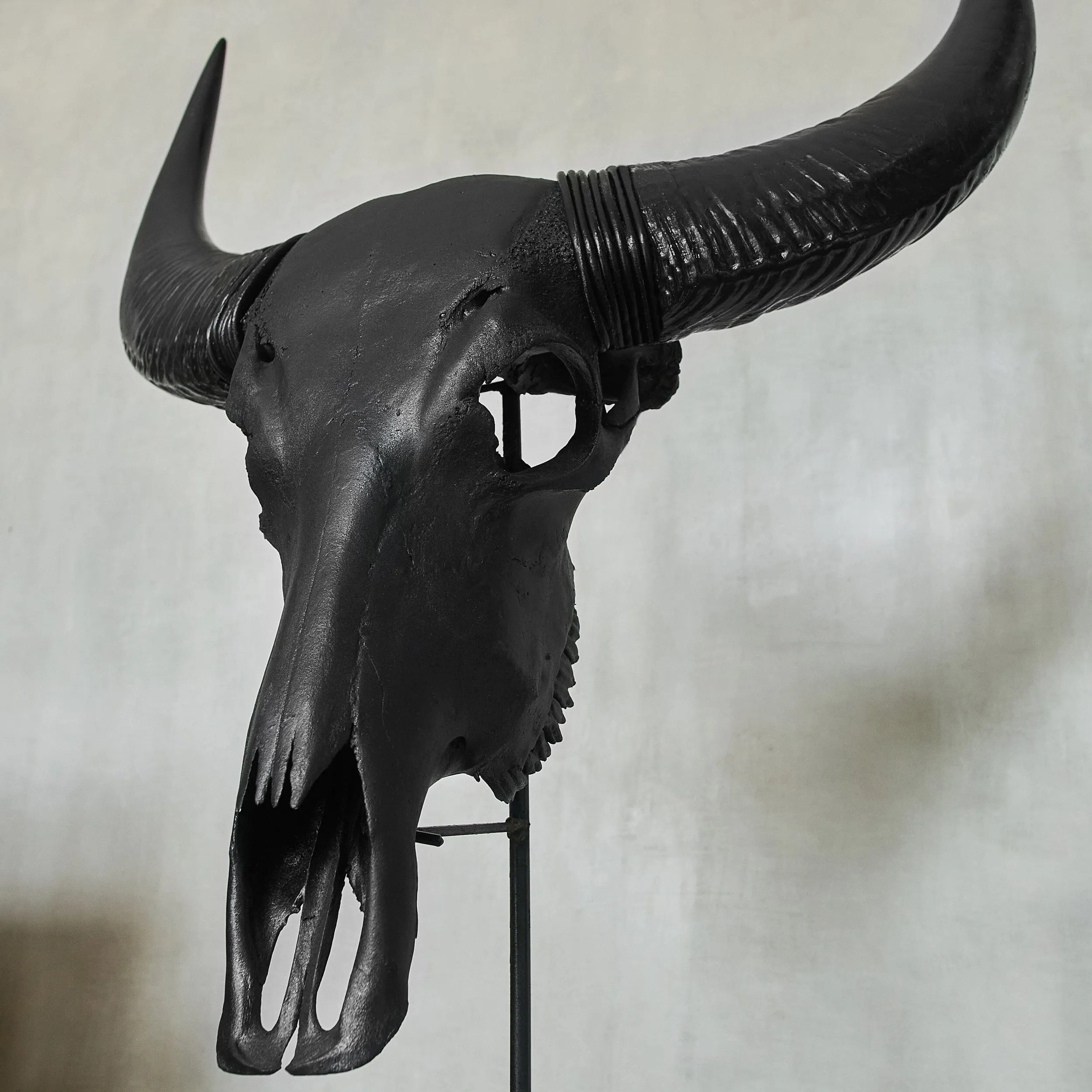 Cow Skull - Matte Black Storm