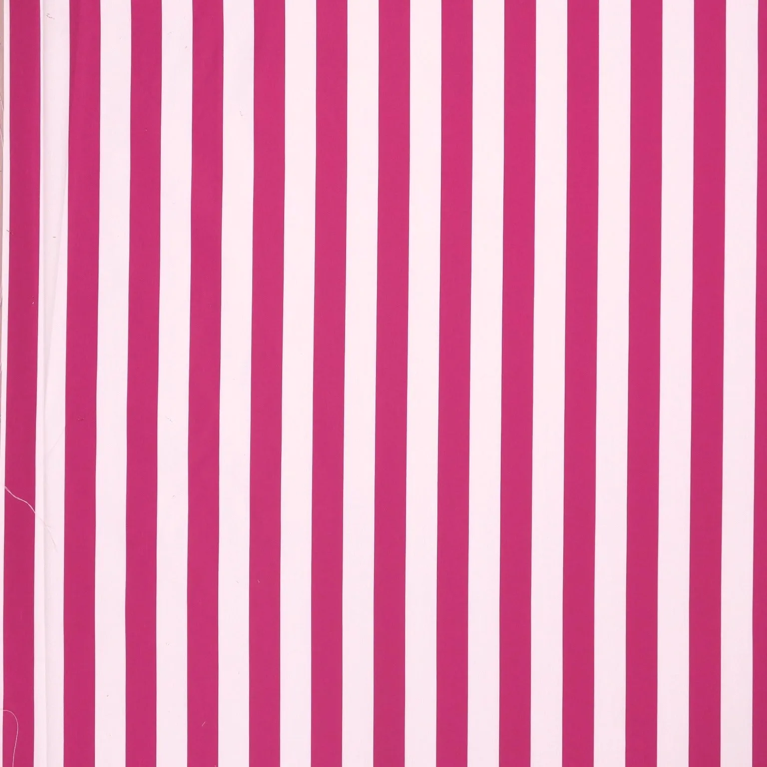 Ivory and Fuchsia Stripe Printed Polyester Mikado Fabric